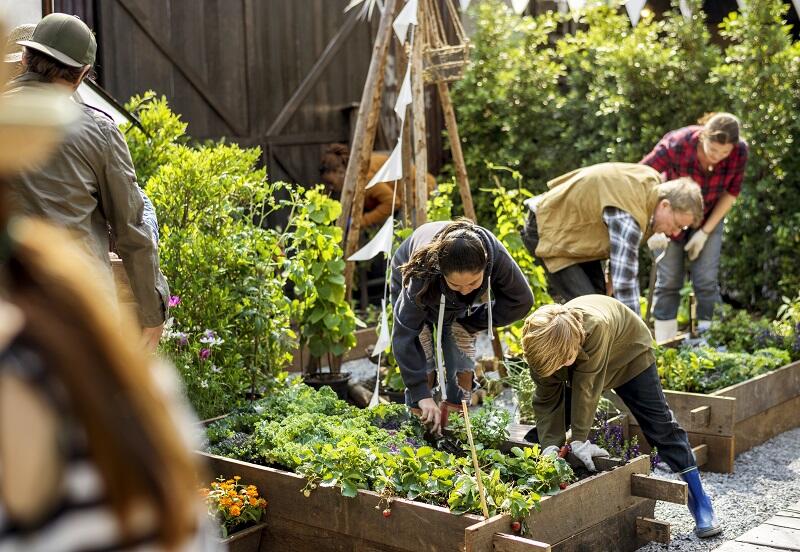 JARDIN-PARTAGE-DES-4-SAISONS