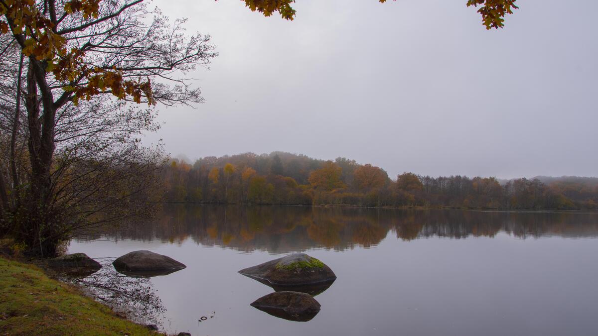 Etang du Puy