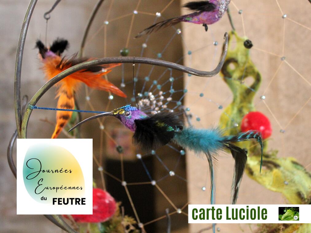 CARTE LUCIOLE - Exposition JEF