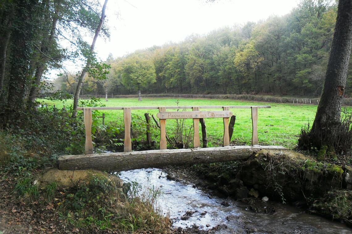 CHARRON _Passerelle des castors