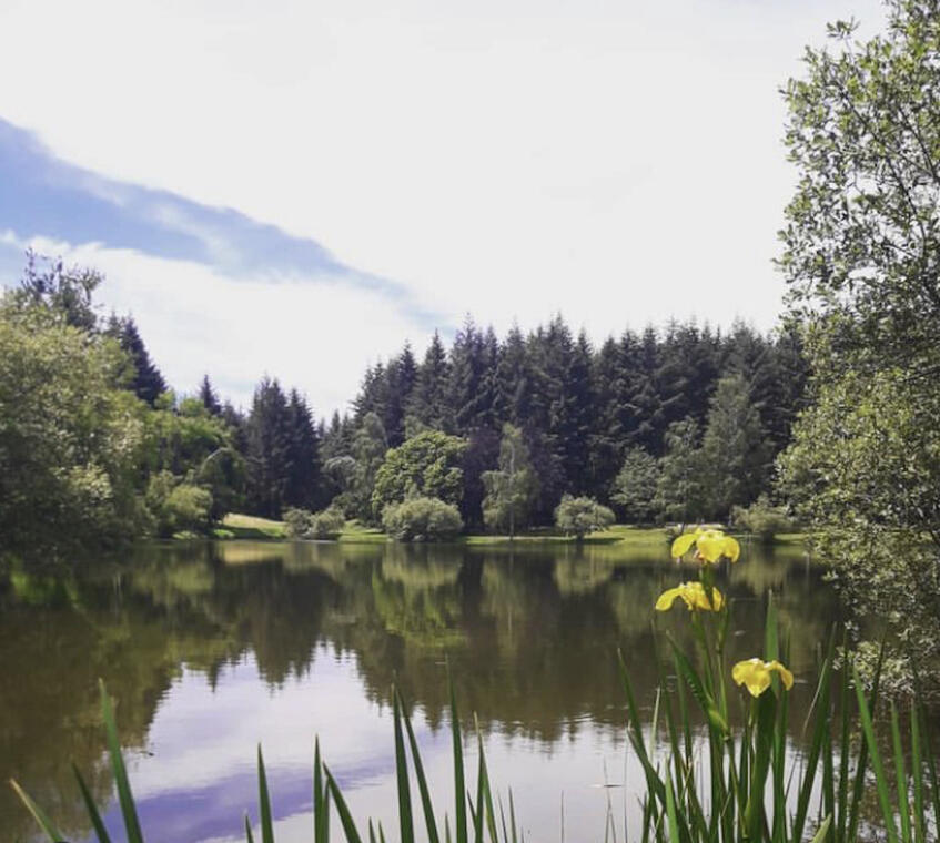 CHENERAILLES_Etang de la fôret