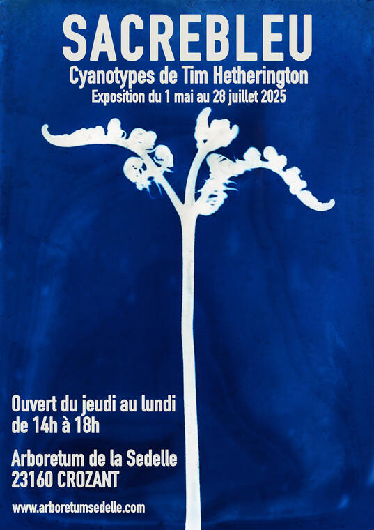 Cyanotype-Exhibition-Poster-1