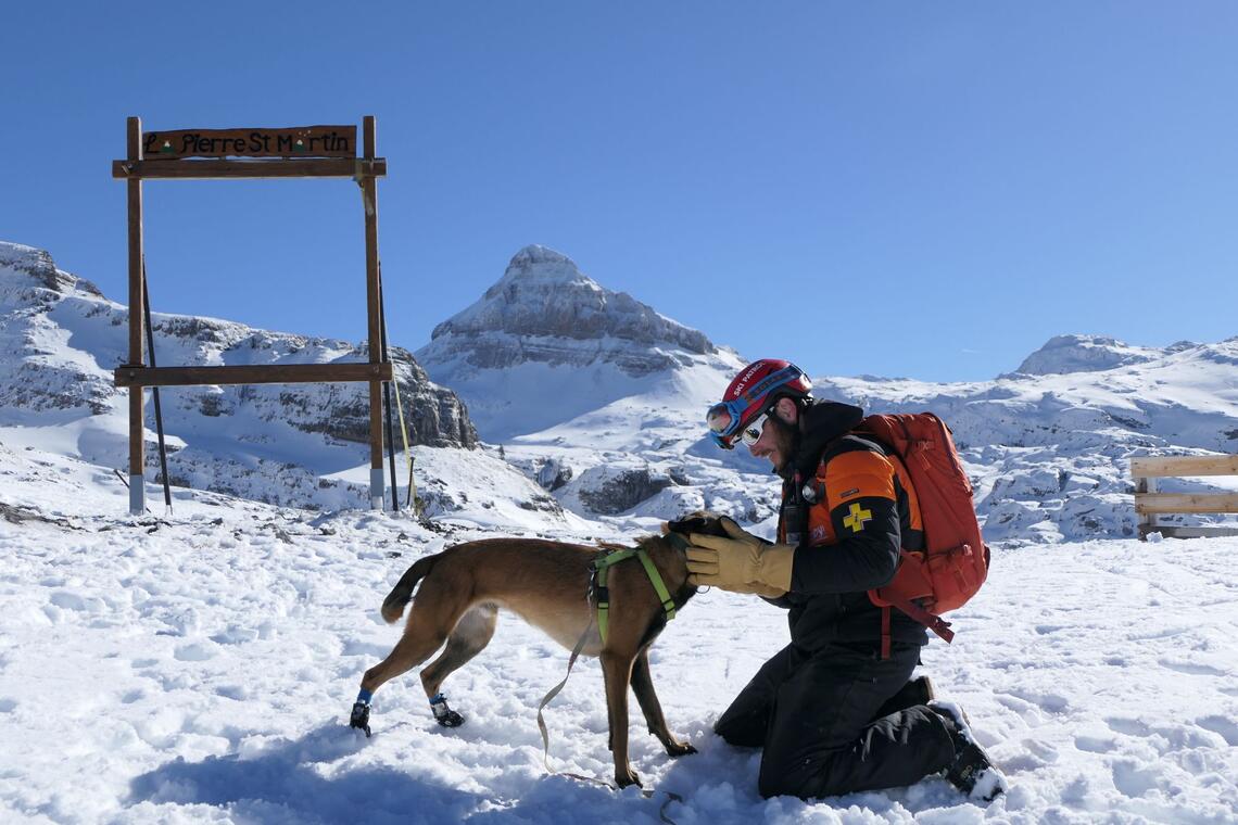 Démonstration de chien d'avalanche