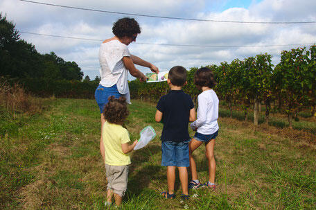 Domaine de perreau