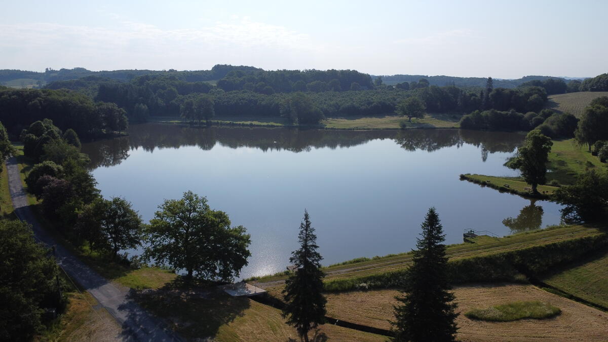 La Brousse - Etang