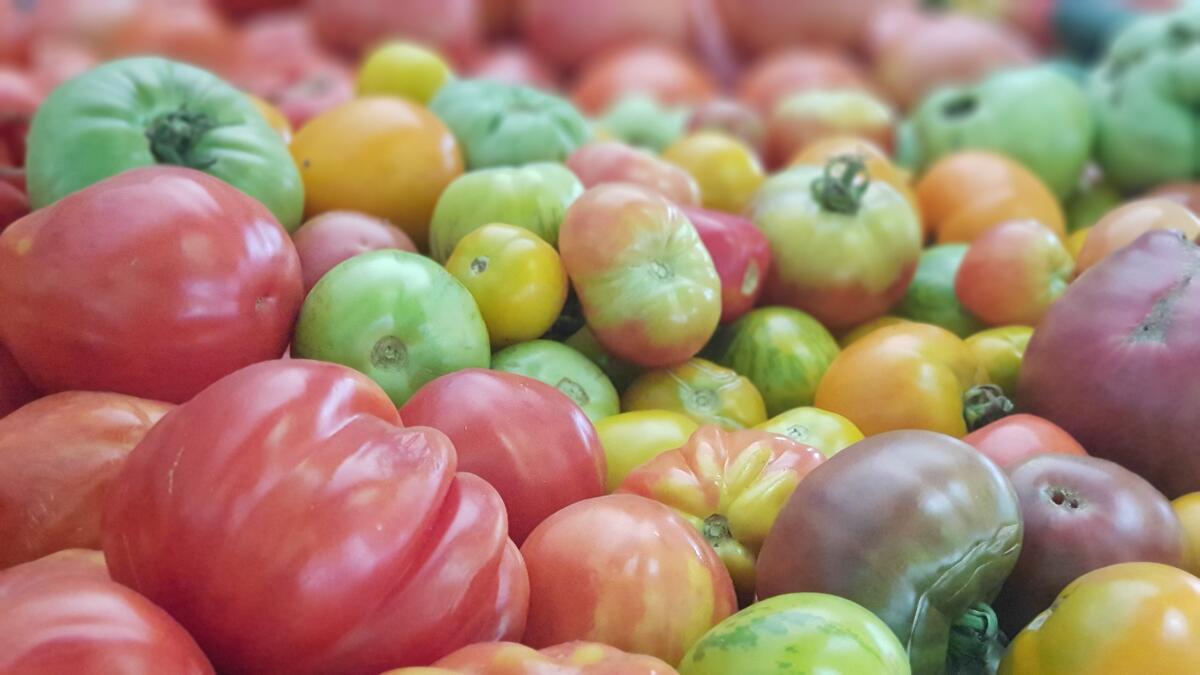 Marché Chambon