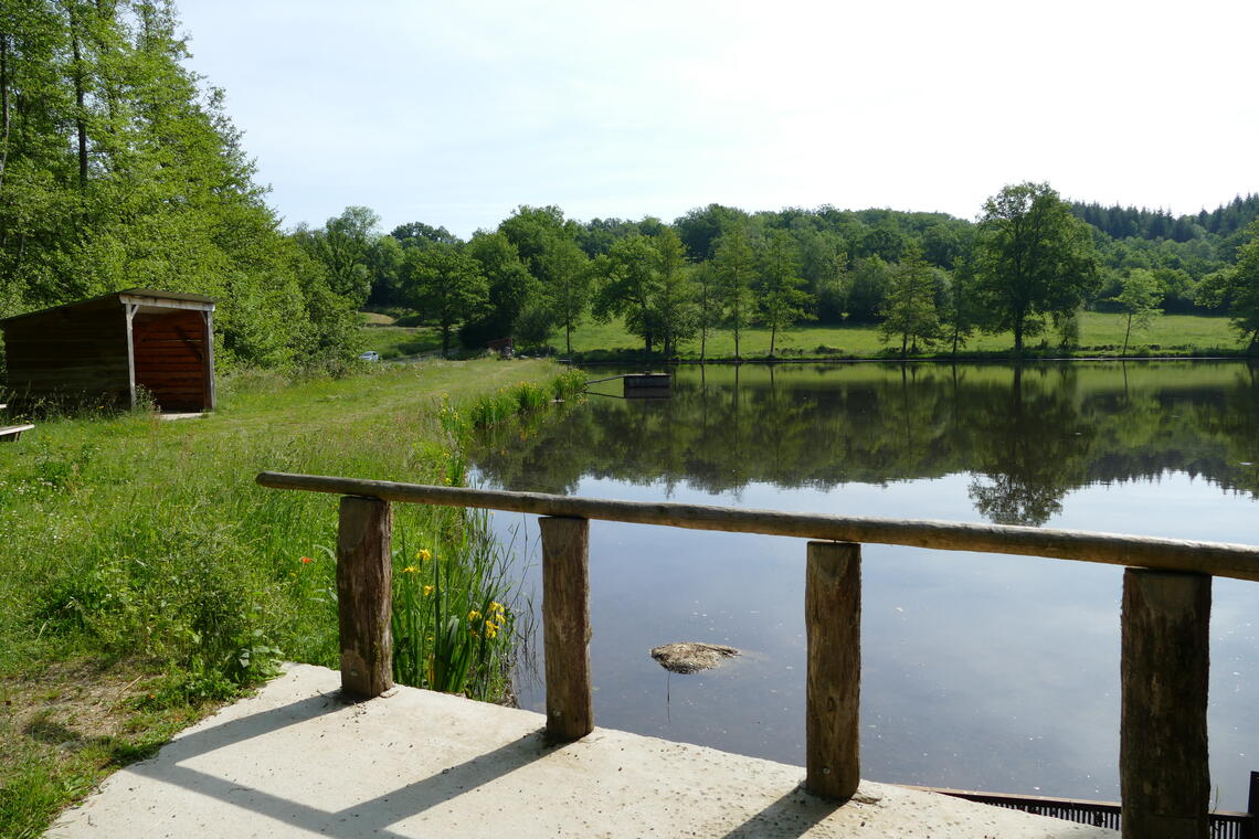 Etang de Jarmenet