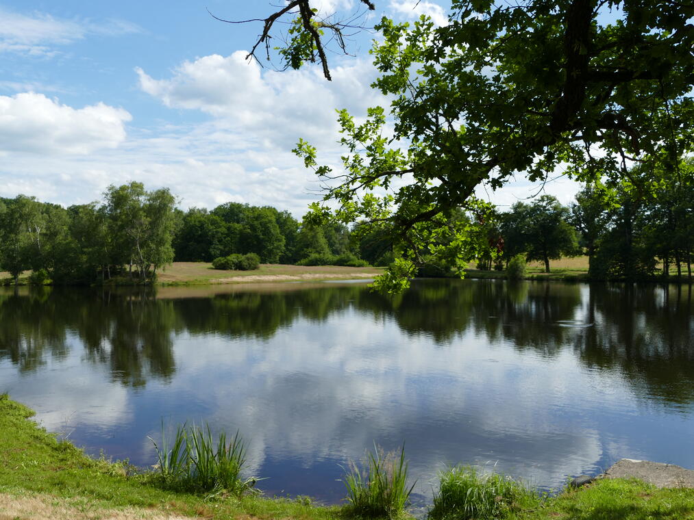 PEYRAT-LA-NONIERE_ETANG DE CHAUX