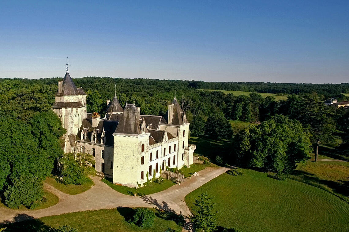 TERNAY Château de Ternay