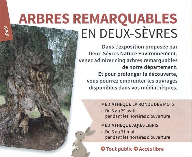 arbres remarquables