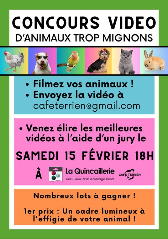 Festival film animalier