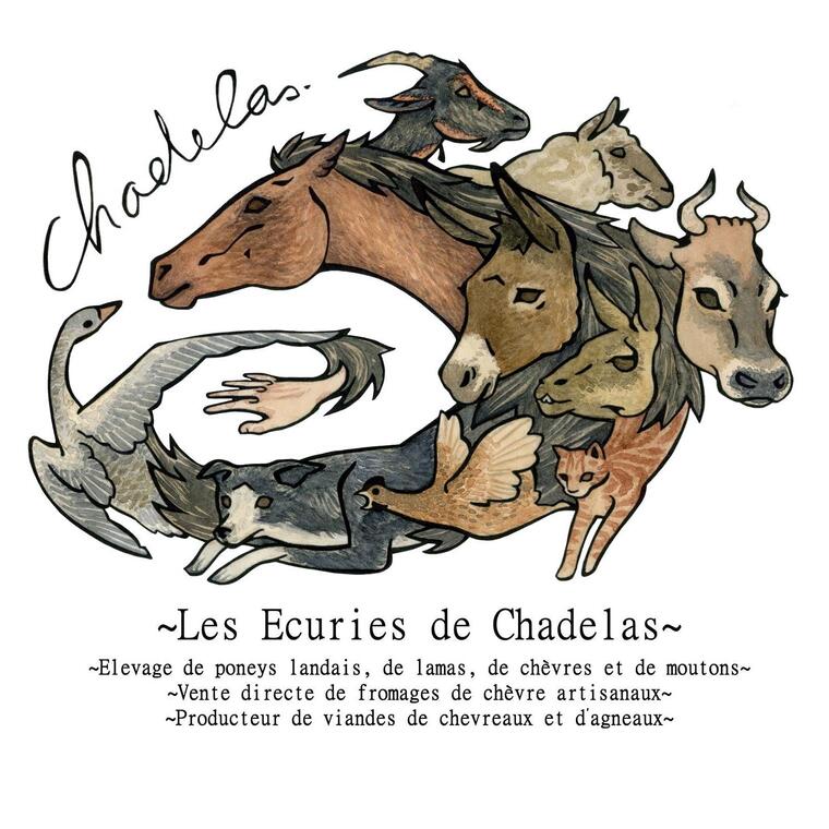 Les Ecuries de Chadelas