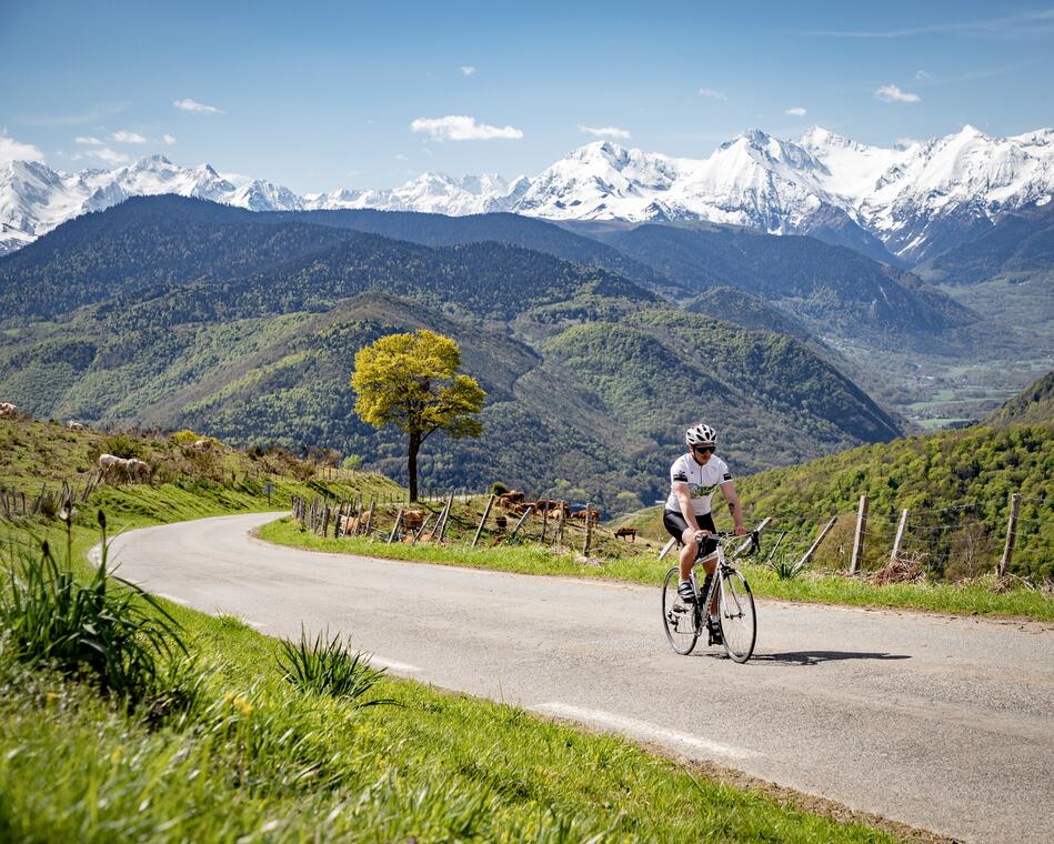 Le Col d'Aspin