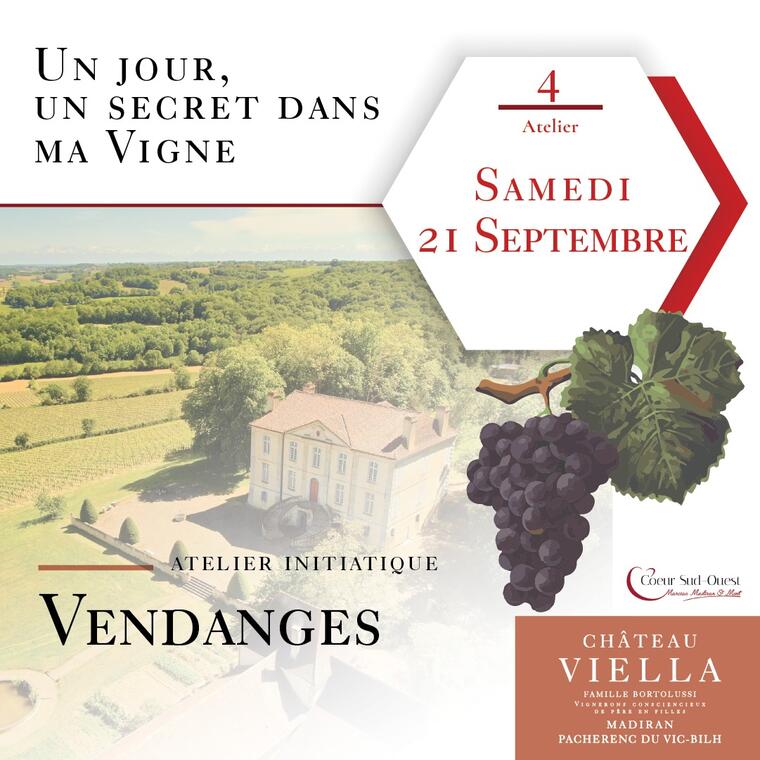 vendanges