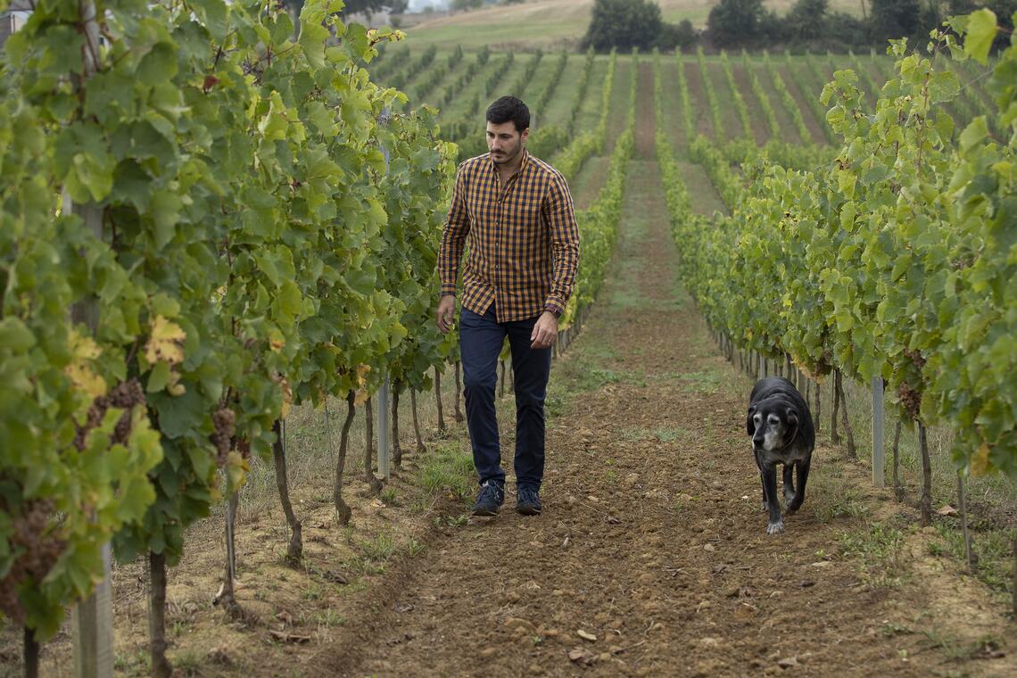 Vigneron @Chateau Pouey