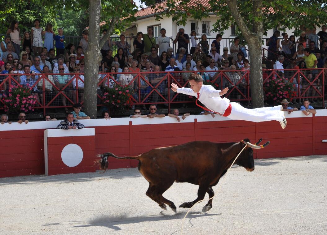Course landaise