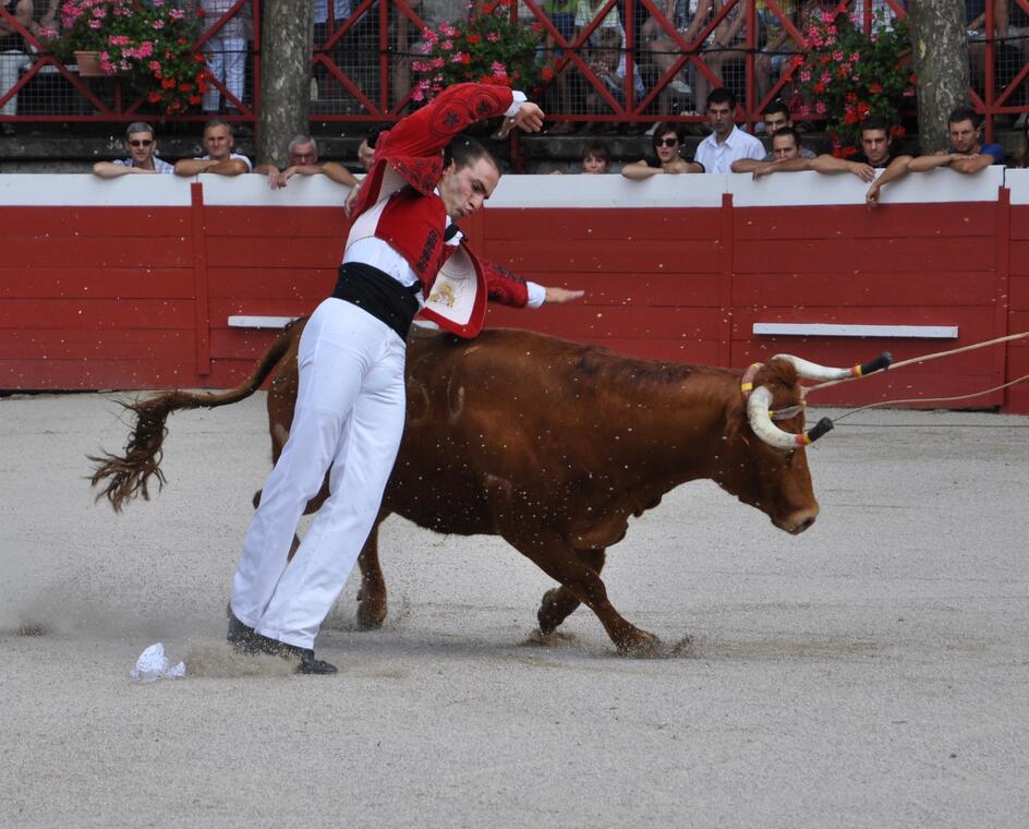 Course landaise