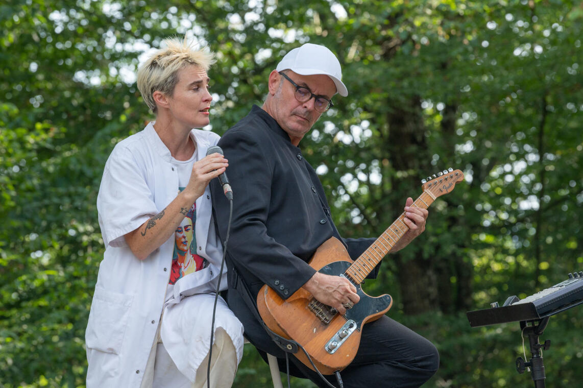 Les attracteurs étranges