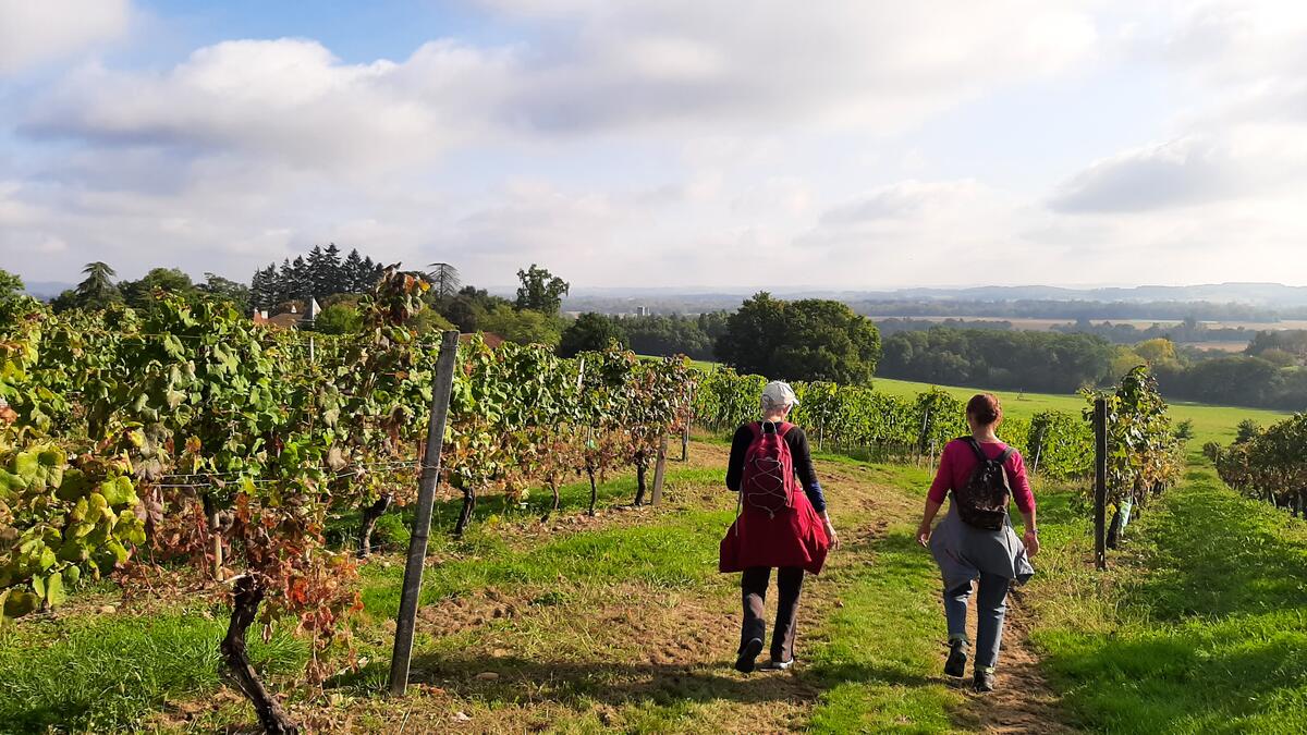 Rando vignes femmes Madiran