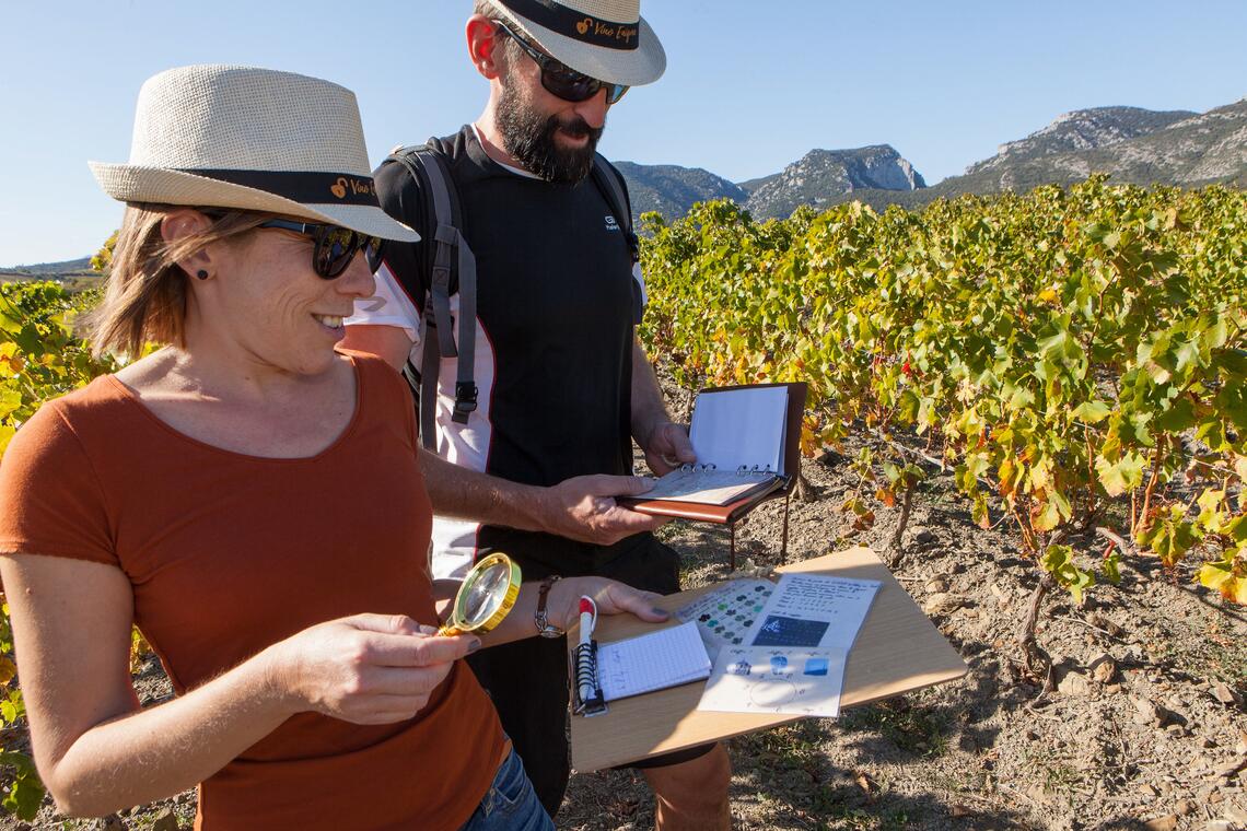 Escape game dans les vignes