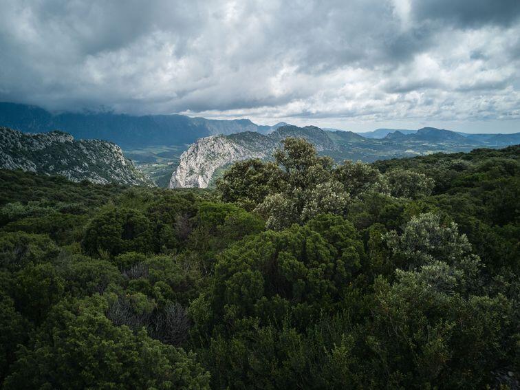 Vue sur le Fenouillèdes_1