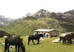 Ferme d'en Garcie