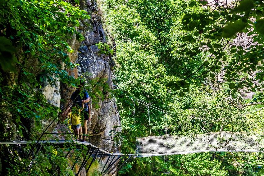 Passage sur les passerelles et ponts de singe_1