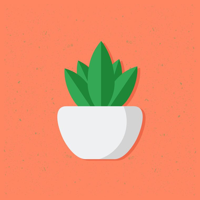 plant-g4e00ea1c9_1280
