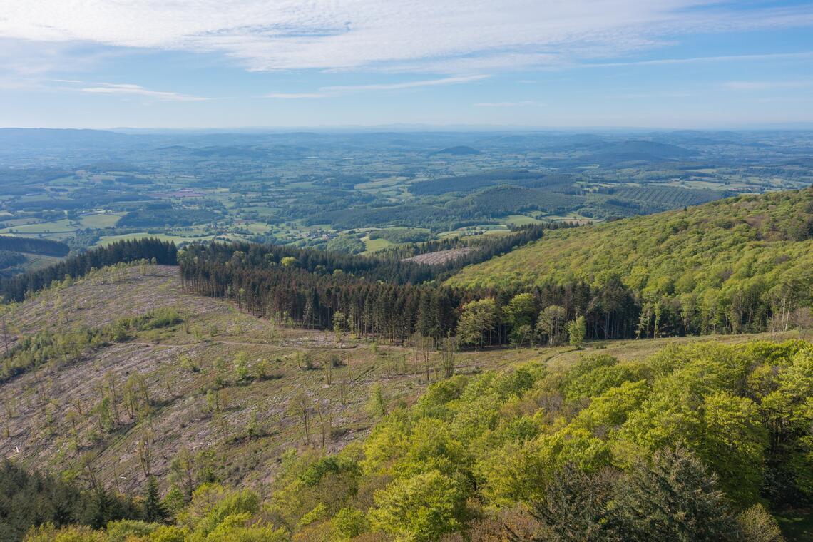 DJI_0899