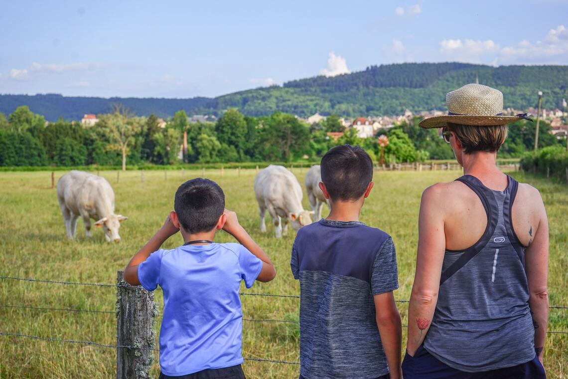 Curgy rando et ptrmoine, Office de tourisme du Grand Autunois Morvan