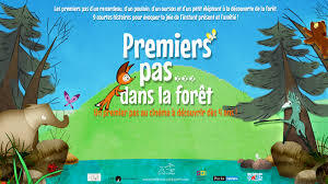 1er-pas-dans-la-foret