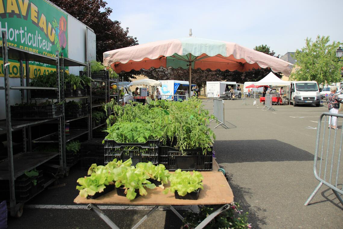 valleedelasarthe-solesmes-marché