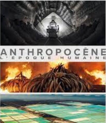 Anthropocene