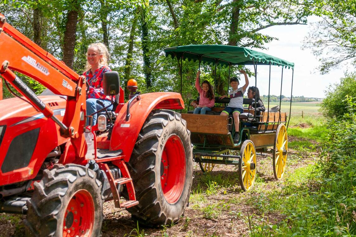 Ferme des Roussets à Juigné 2023 Sélection WEB-24