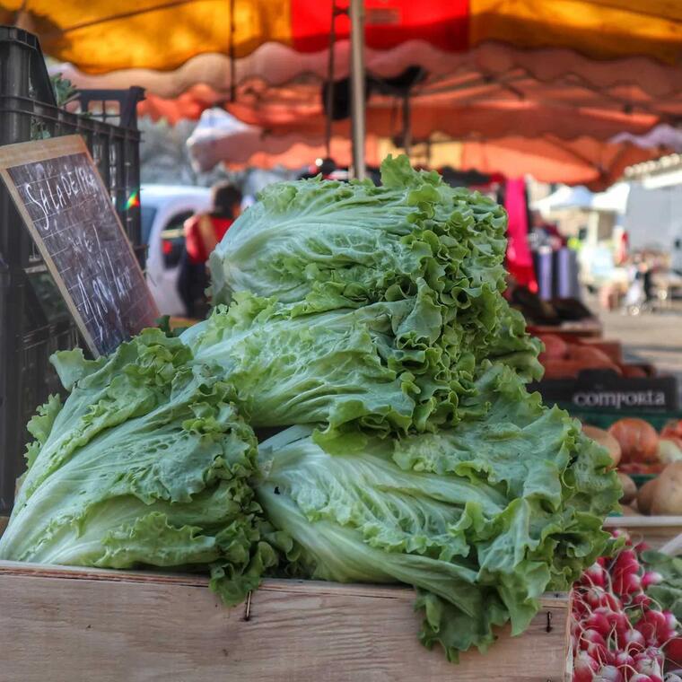 Marchés-sablé-sur-sarthe