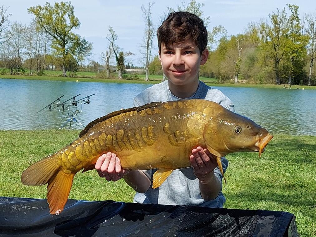 Pêche à la carpe