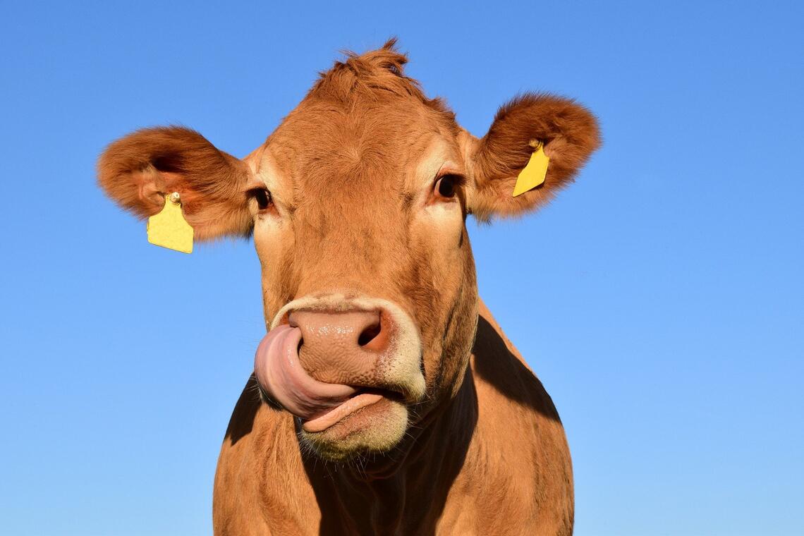 GENERIQUE AGRICULTURE