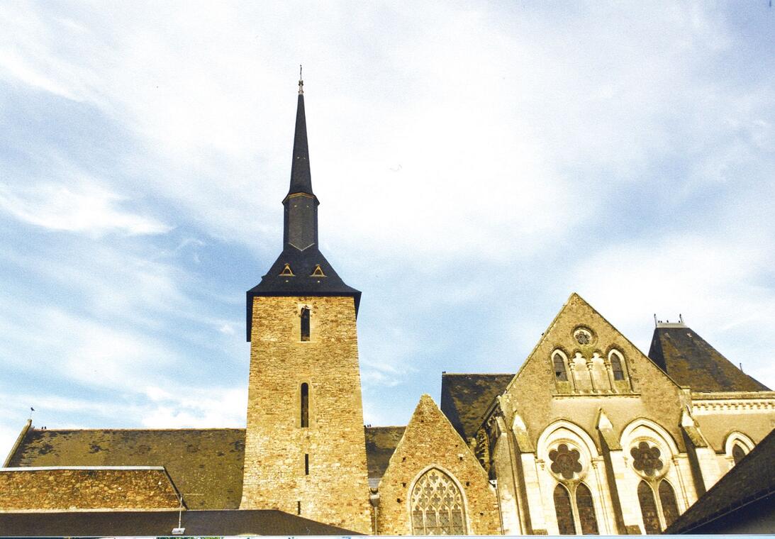 église-Saint-Martin-de-Vertou-le-Lion-d'Angers-49-pcu