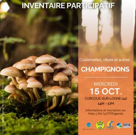Coulemelles-cêpes-champignons-cpie-corcoue-sur-logne-44-fma-1