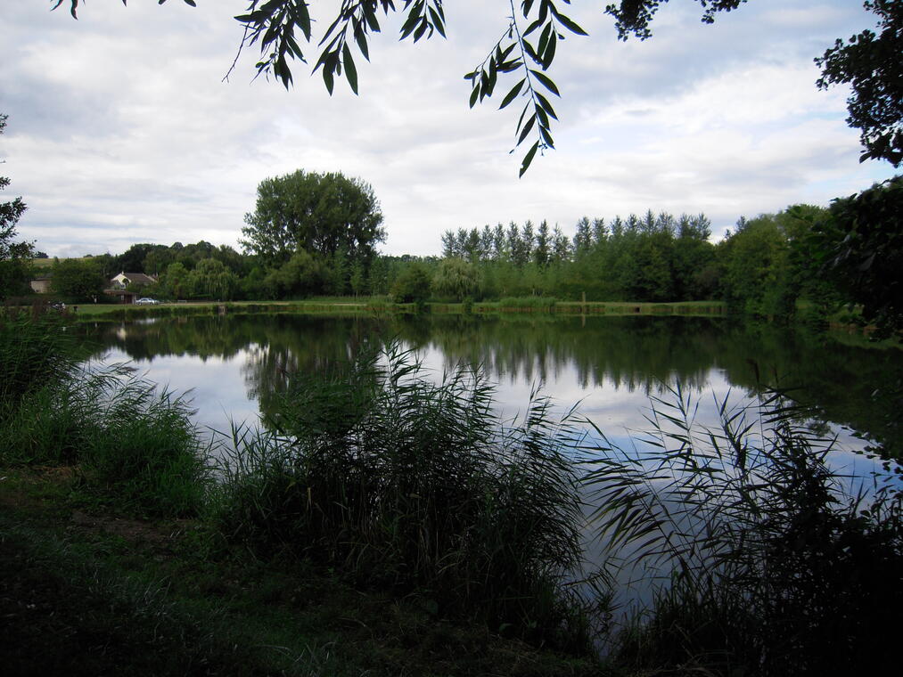 plan d'eau bonnetable