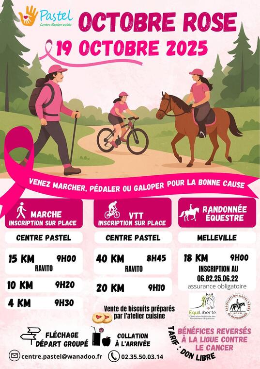 101925 - MESNIL-REAUME - Marche rose