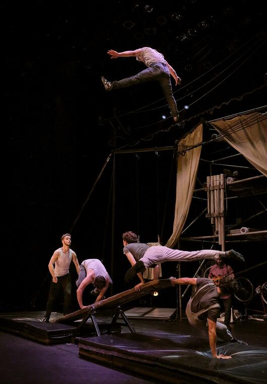 14_Machine de Cirque ©Gael Della Valle