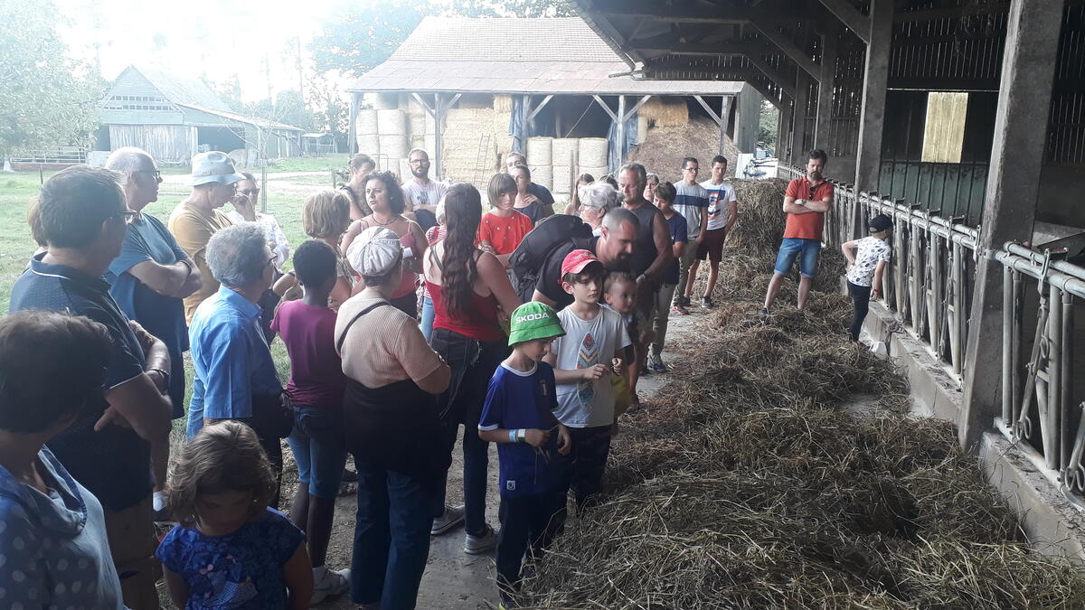 Visite Ferme du Petit Fumechon