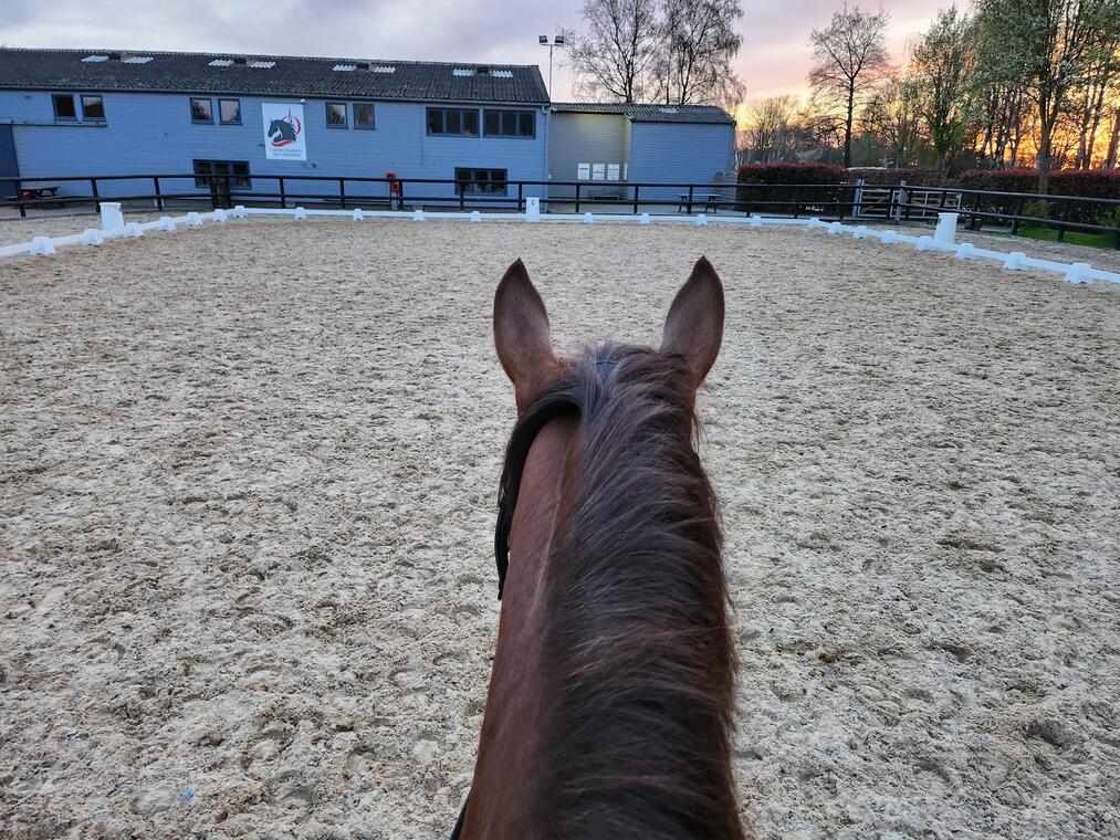 Centre Equestre Municipal du Colombier - Offranville