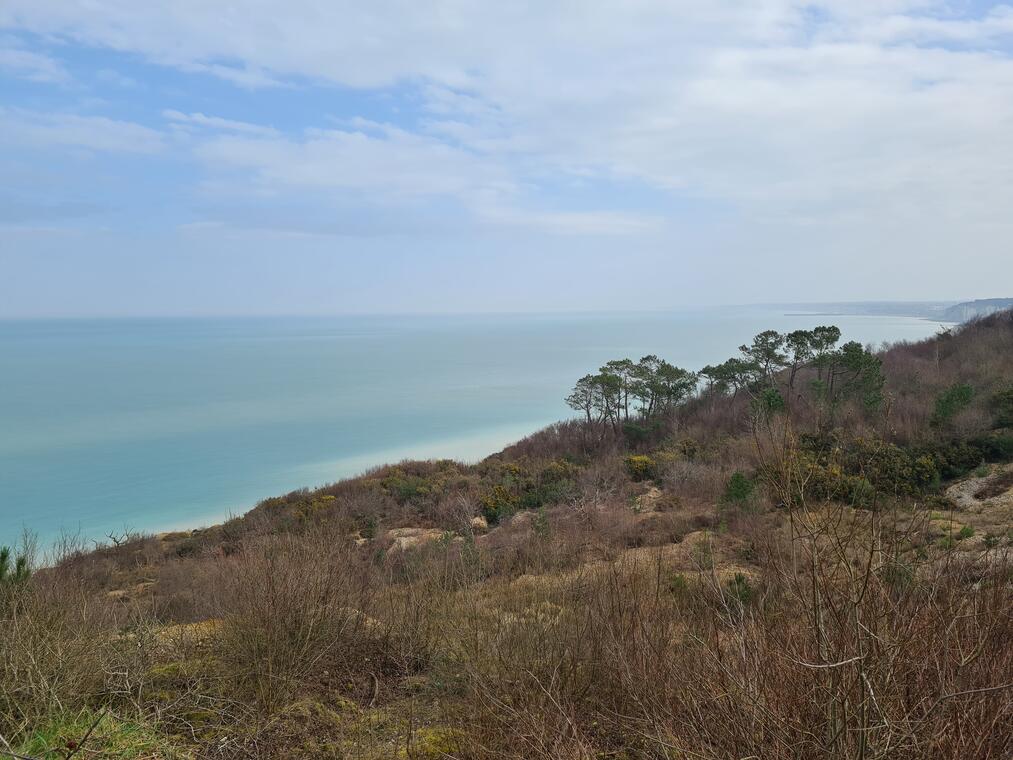Bois des Communes