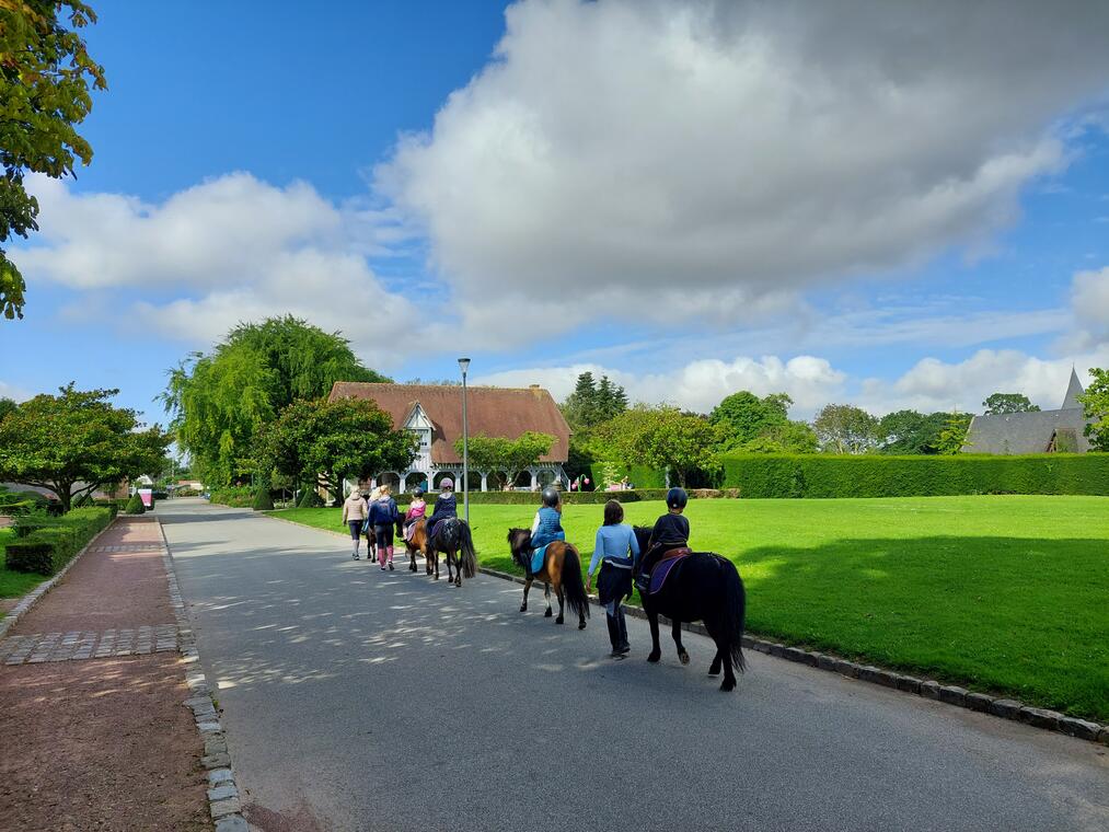 Balade poneys à Offranville