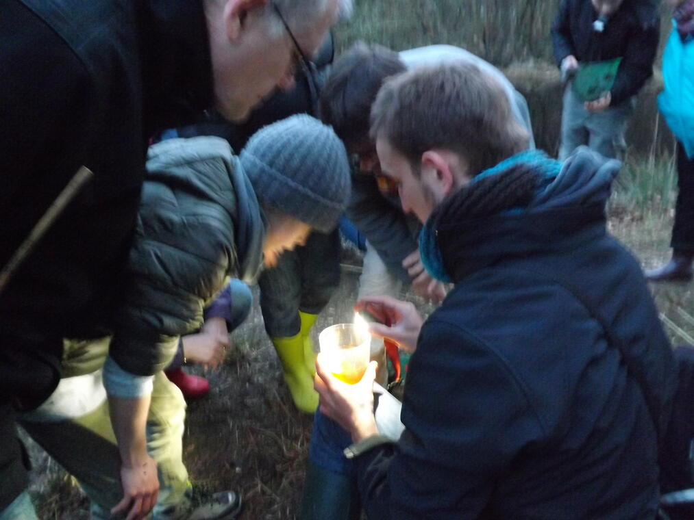 Nocturne au Bois des Communes