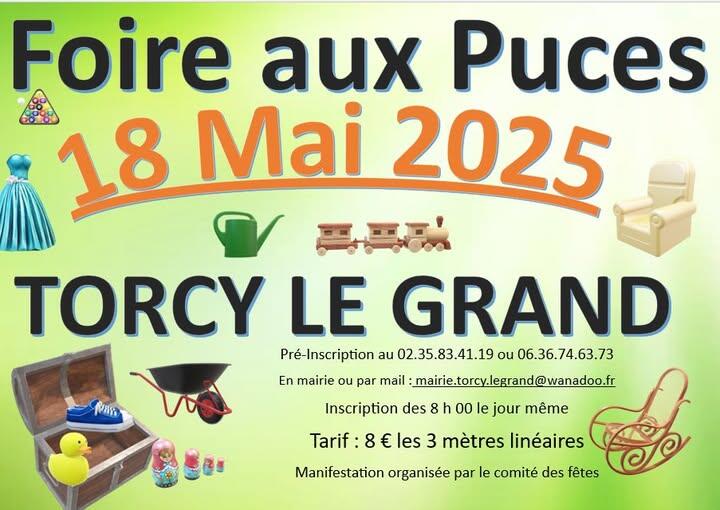 Foire aux puces Torxy 2025