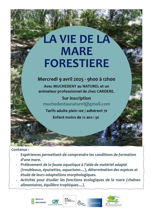 La vie de la Mare forestière_page-0001