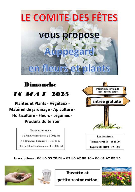 Marché aux plantes et plants_jpg
